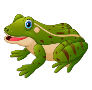 Cute Frog Background PNG