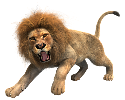 lion, wild animal, big cat, fierce predator, Lion PNG