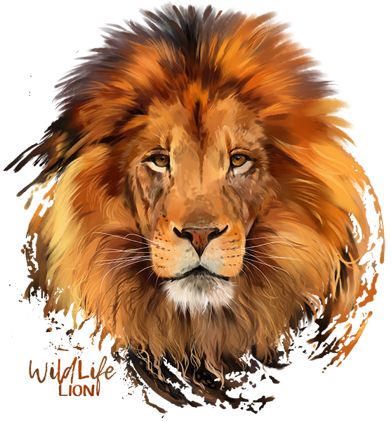 lion, wildlife art, animal portrait, majestic creature, Lion PNG