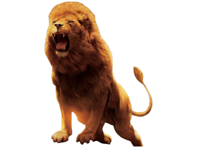 lion, wild animal, roaring, big cat, Lion PNG