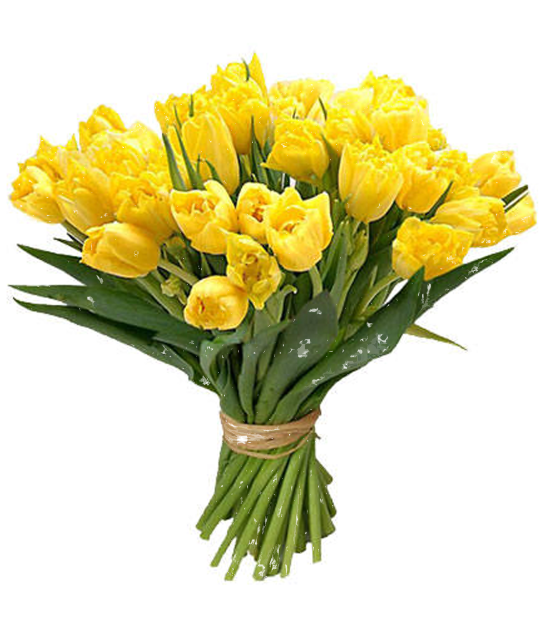 yellow tulips, floral bouquet, spring flowers, gift arrangement, Flower Bouquet PNG