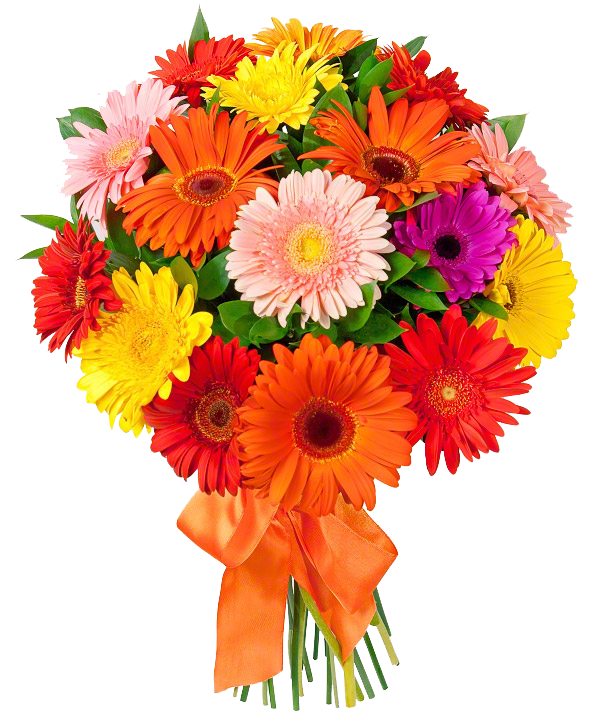 gerbera daisies bouquet, colorful floral arrangement, vibrant flower gift, fresh flowers decoration, Flower Bouquet PNG