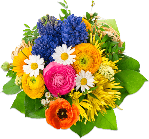 colorful bouquet, fresh flowers, floral arrangement, vibrant blossoms, Flower Bouquet PNG