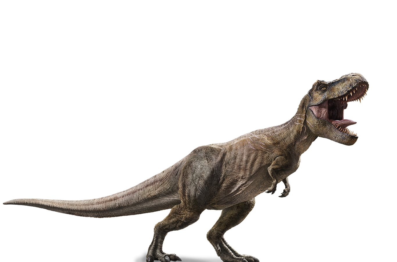 Jurassic Park PNG HD Image