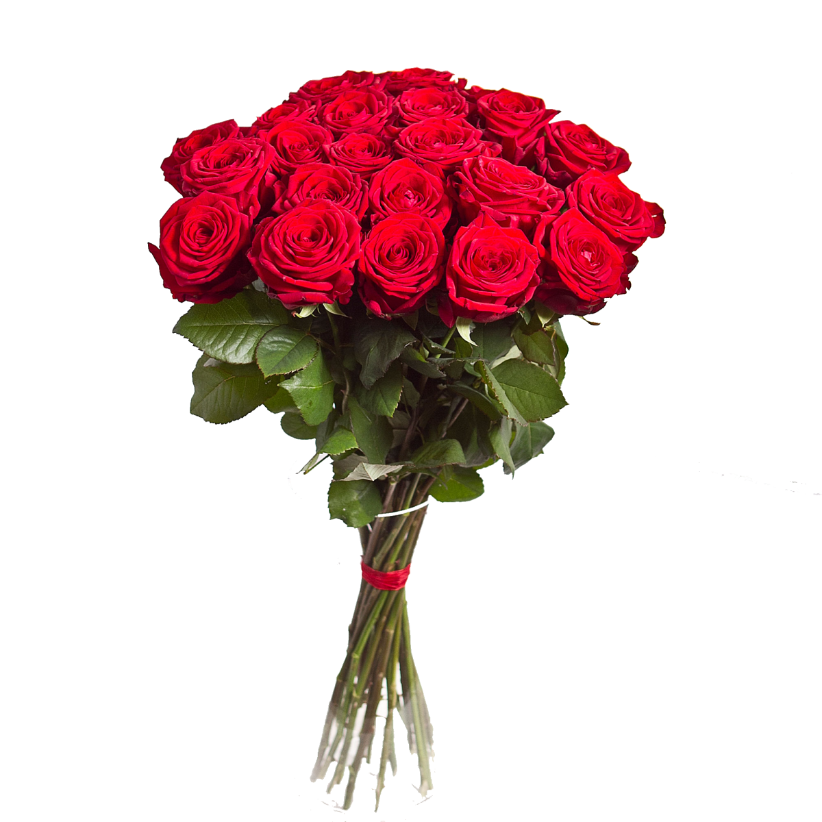 red roses bouquet, romantic flowers, floral arrangement, gift for loved ones, Flower Bouquet PNG