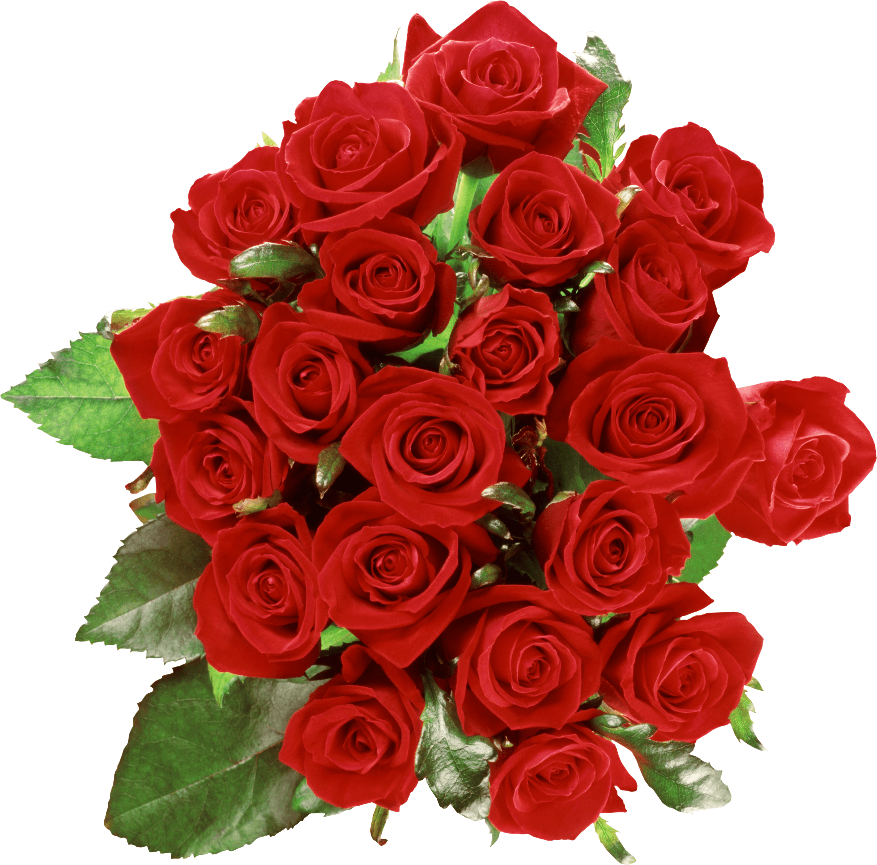 red roses, bouquet of flowers, romantic gift, floral arrangement, Flower Bouquet PNG