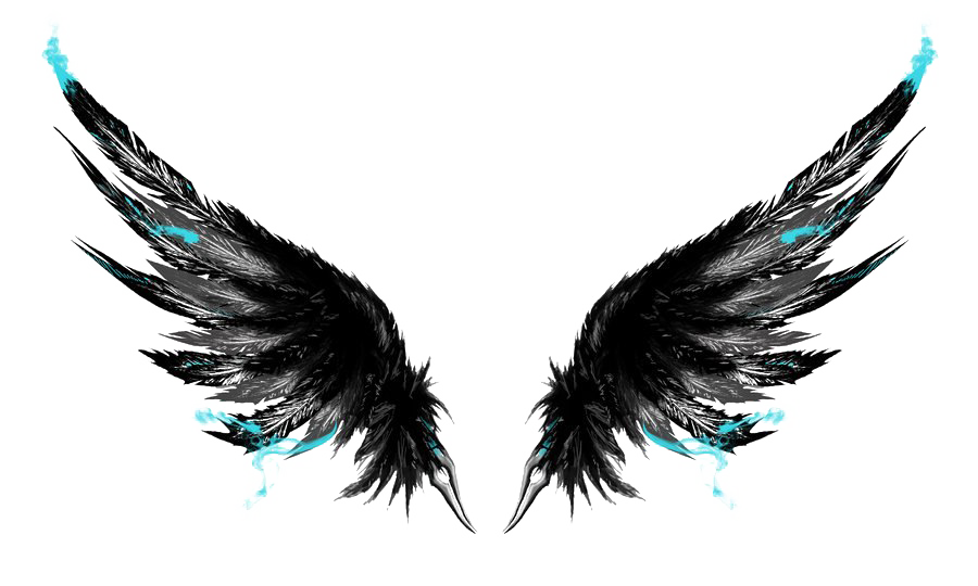 Wings PNG Transparent Images - PNG All