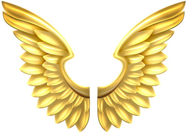 Wings PNG Transparent Images - PNG All