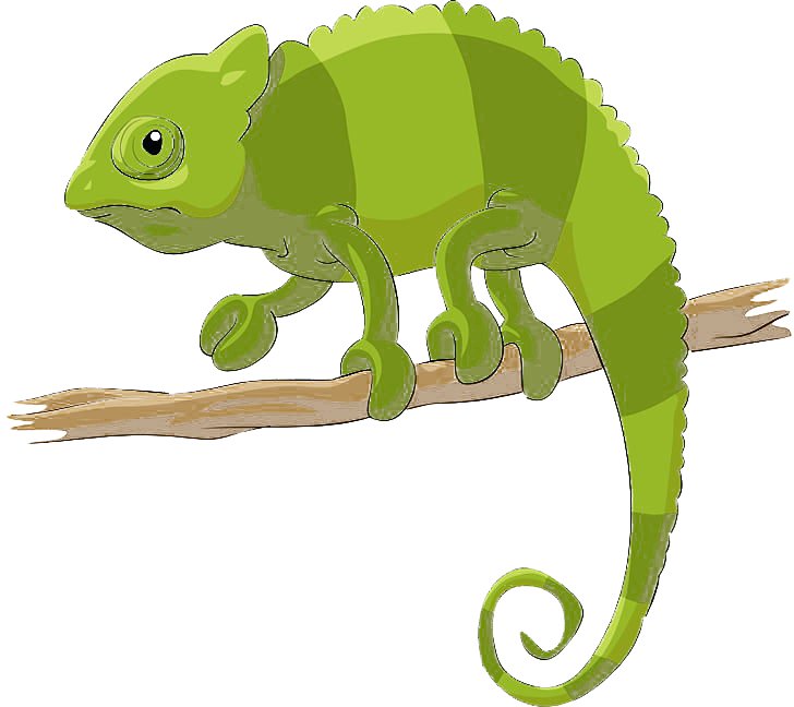 Chameleon PNG Photo