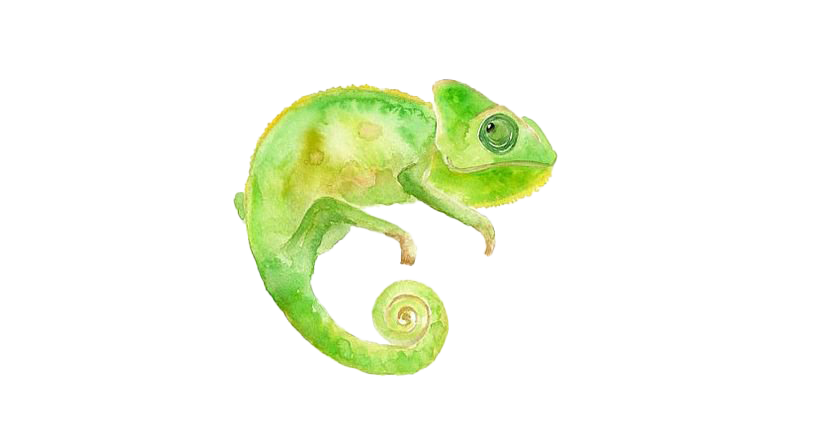 Chameleon PNG Transparent HD Photo