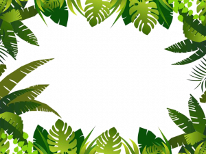 tropical foliage border, green leaves frame, nature-inspired design, botanical illustration, Leaf PNG