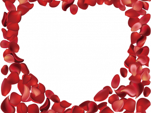 red rose petals, heart shape frame, romantic decoration, floral design, Rose Petals PNG