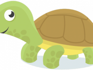 Green Turtle PNG Image