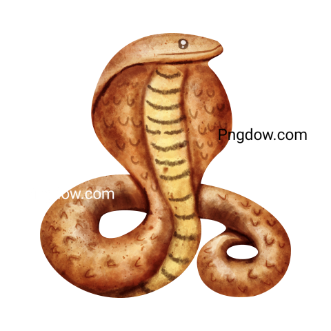 Cobra Png image with transparent background for free, Cobra, (16)