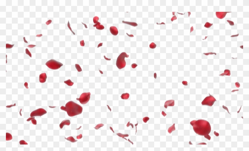 Falling Petals Png Clipart Rose Petal Falling Png Transparent Png 19x1080 Pngfind