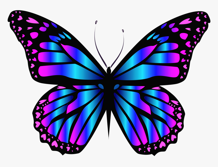 Blue Butterfly Transparent Background, HD Png Download , Transparent Png  Image - PNGitem