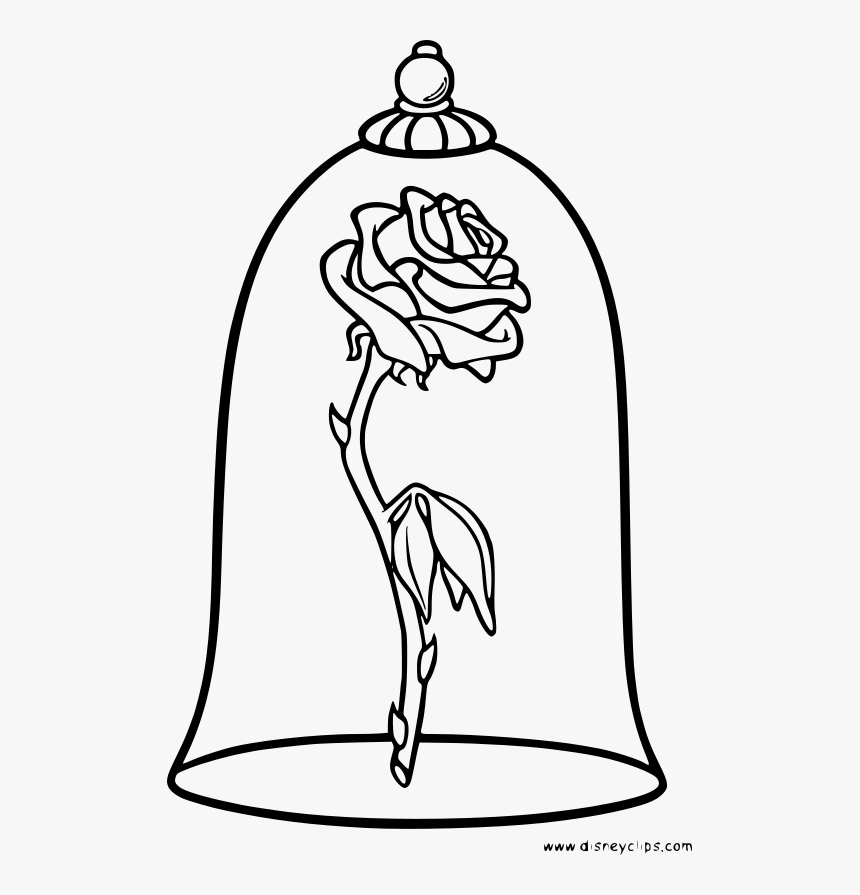 Beauty And The Beast Rose Drawing