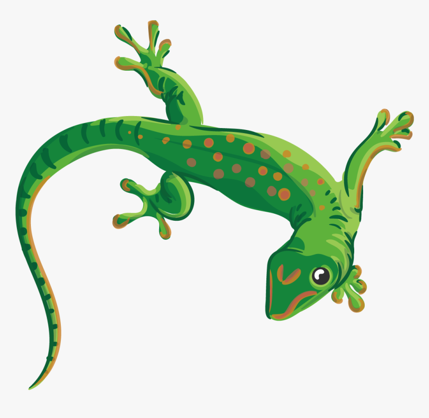 Running Lizard Clipart