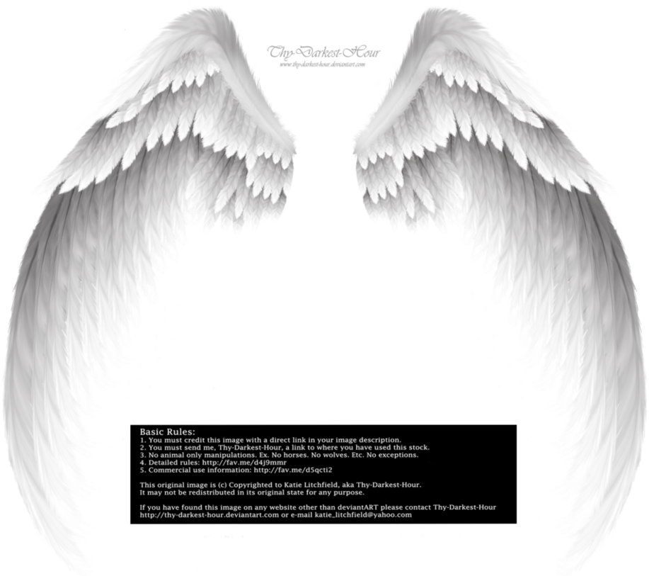 Download White Angel Wings - Transparent Background Wings Png PNG Image  with No Background 