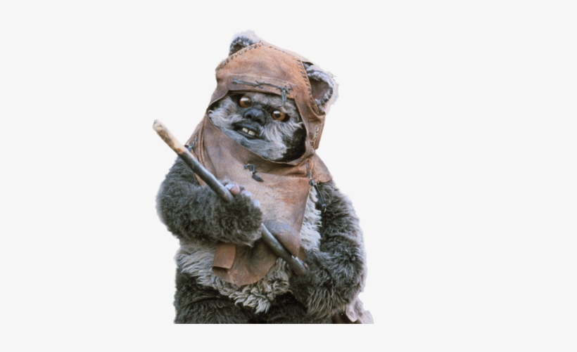 Ewok Png Ewok Star Wars Png 388x421 Png Download Pngkit