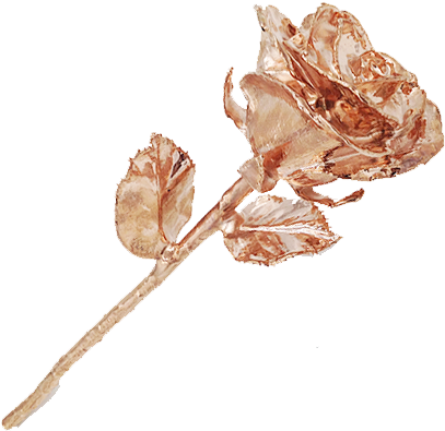 Download Rose-gold - Rose Gold Png - Full Size PNG Image - PNGkit