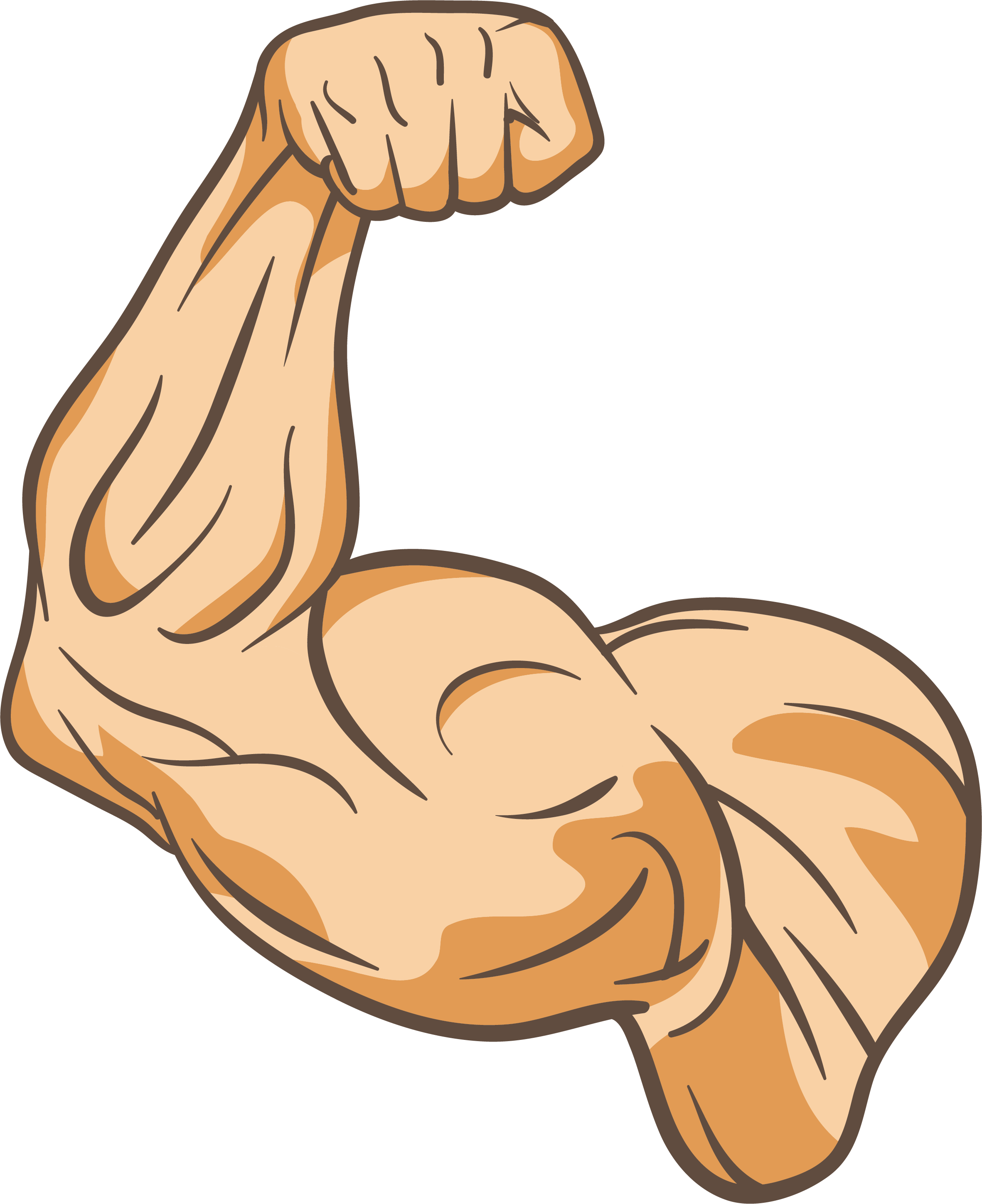 Download Muscle Clip Art Muscle Clip Art Png Full Size – NBKomputer