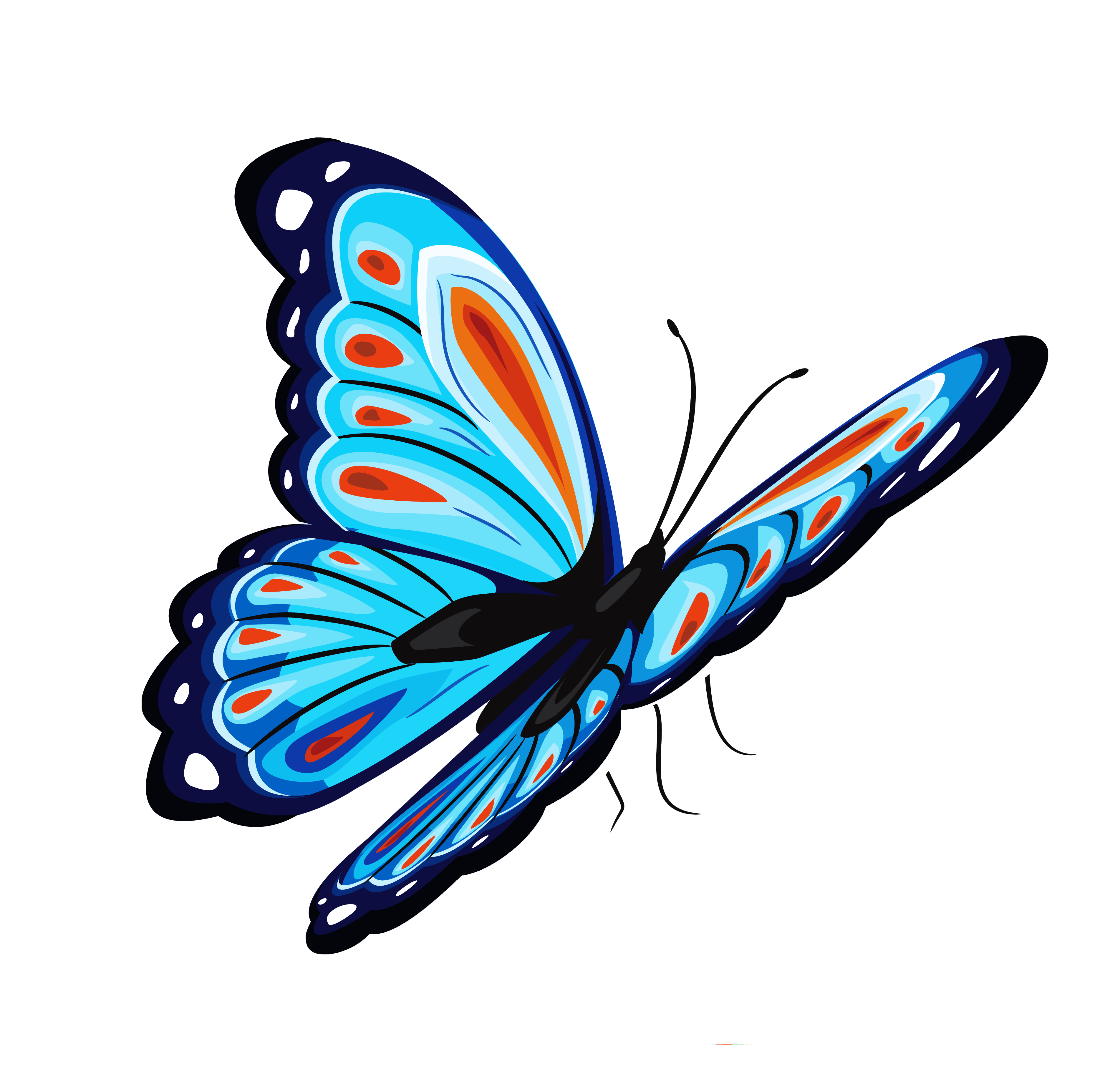 Mariposa PNG transparente Images | PNG Play