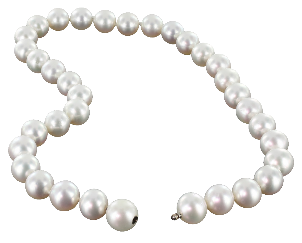 Pearls High Resolution, Beautiful, Elegant Transparent PNG