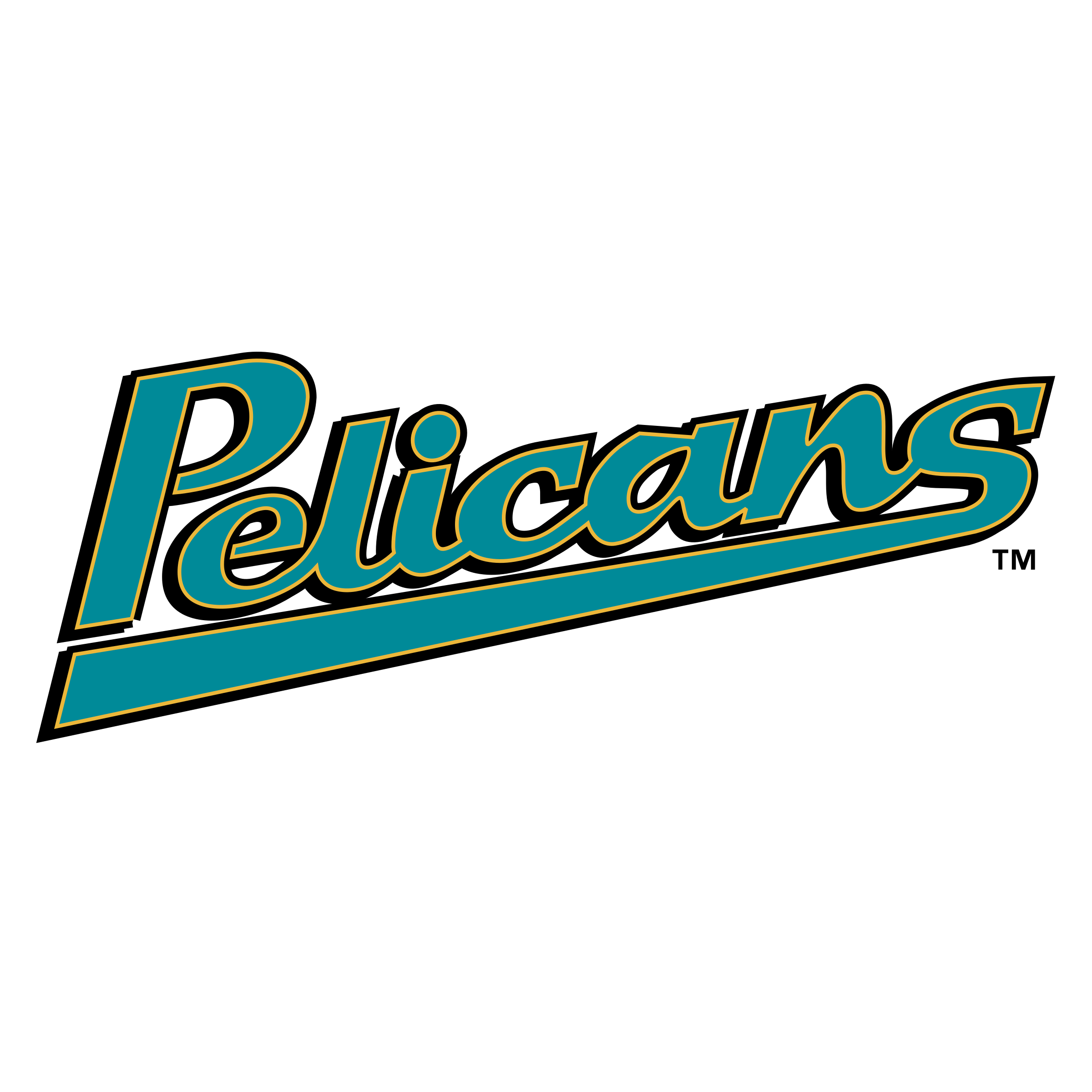 Myrtle Beach Pelicans, Baseball Team, Sports Logo Transparent PNG