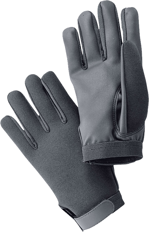 Winter Gloves, Cold Weather, Handwear Free PNG