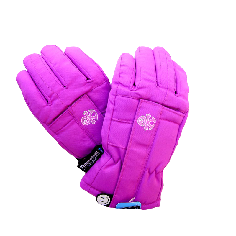 Winter Gloves, Cold Weather, Hand Protection Transparent