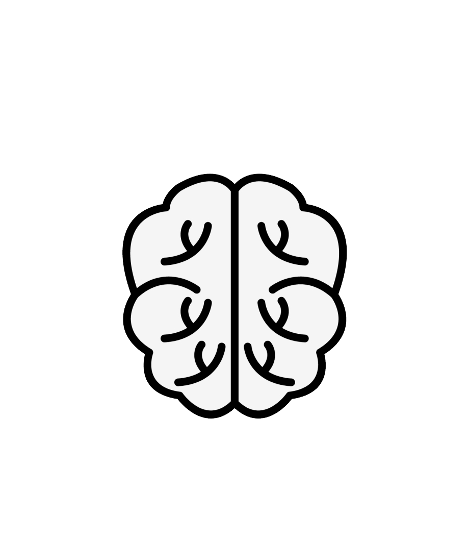 Brain, High Resolution, Visuals PNG