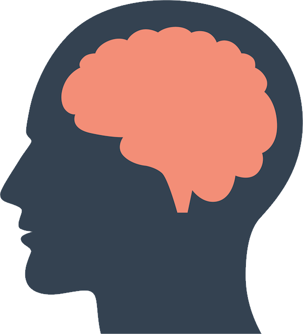 Brain Image, Visual, Artwork PNG Image