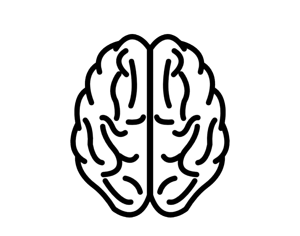 Brain Outline, Diagram, Concept PNG Image