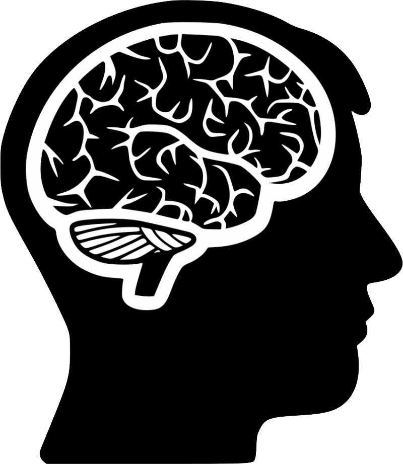 Brain Outline, Diagram, Shape Transparent