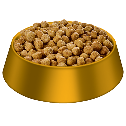 Dog Bowl, Pet Food, Golden Dish Free PNG