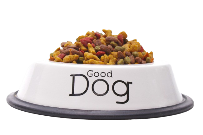 Small Dog Cuisine, Canine Meal, Pet Food Transparent PNG