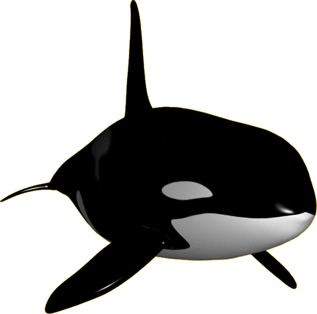 Orca Whale Icon, Marine Animal, Ocean Illustration Transparent