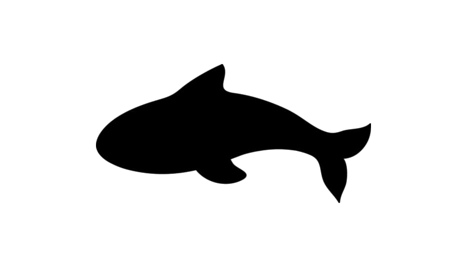 Orca, Sea, Marine PNG Image