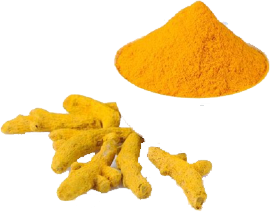 Turmeric High Resolution, Premium, Visuals Free PNG