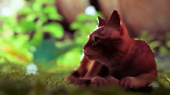 A screenshot taken from one of the best cat games, Stray, showing a ginger cat laying down with leaves in the background