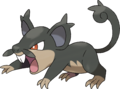 Rattata