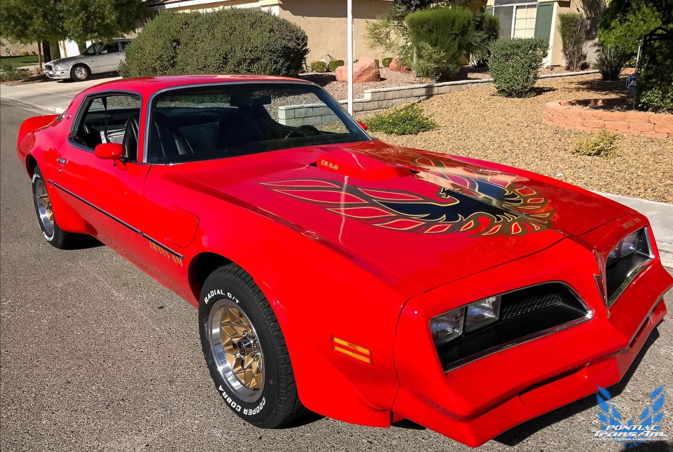 78 Trans Am