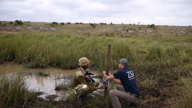 Cameras Designed To Find Rare Animals Could Catch Poachers Instead