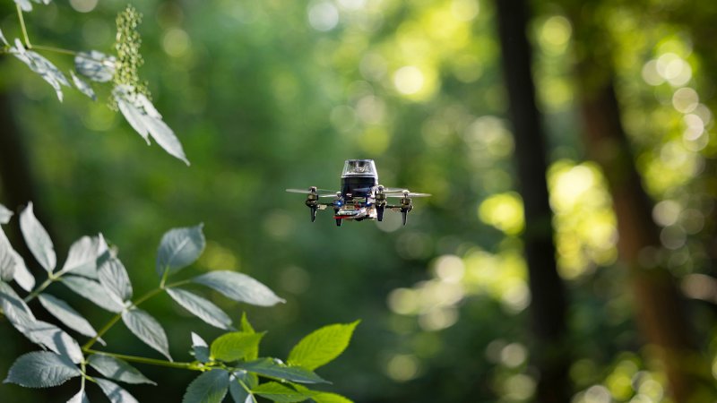 Tiny drones have can only carry very small computer processors with little computation and memory. This makes it very challenging for them to navigate by themselves, as current state-of-the-art approaches to autonomous navigation are computation- and memory intensive.