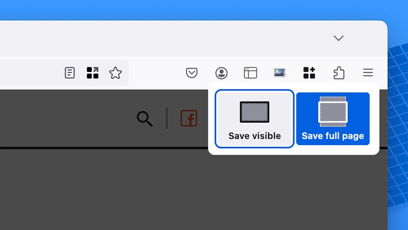 screenshot of "save visible" option in firefox window