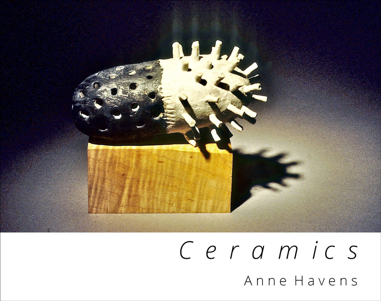 Cover of Anne Havens "Ceramics" 2020