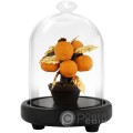 PROSPEROUS GOLDEN KUMQUAT Figurine Gold Foil Singapore 2025