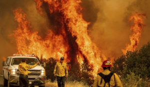 Flames from the LNU Lightning Complex fires leap above Butts Canyon Road on Sunday, Aug. 23, 2020, as firefighters work to contain the blaze in unincorporated Lake County, Calif. (AP Photo/Noah Berger)