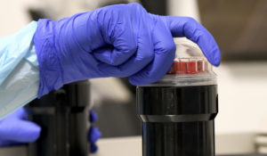 University of Miami  lab tech Sendy Puerto processes blood samples in the specimen processing lab￼ from study participants. Volunteers are taking part in testing the NIH funded Moderna COVID-19 vaccine. (AP Photo/Taimy Alvarez)